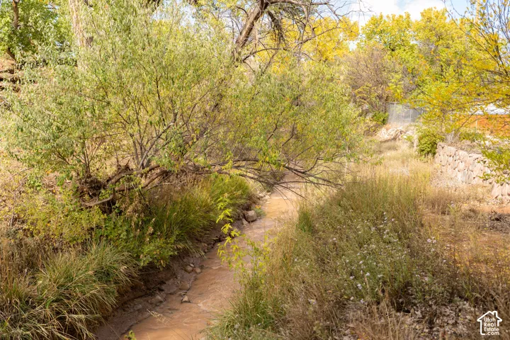View of nature