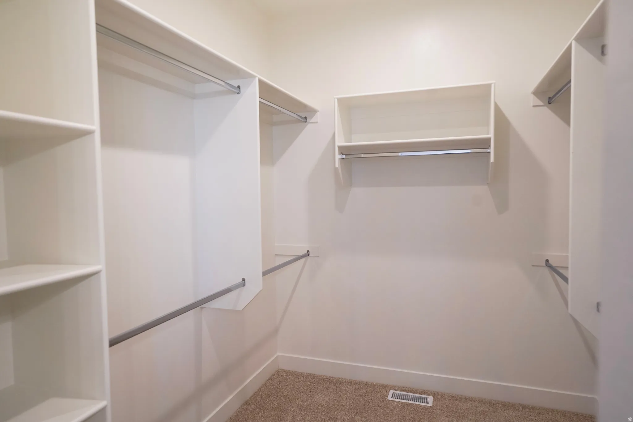 Spacious closet featuring carpet