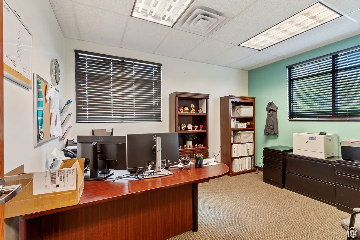 Office featuring light colored carpet and a paneled ceiling