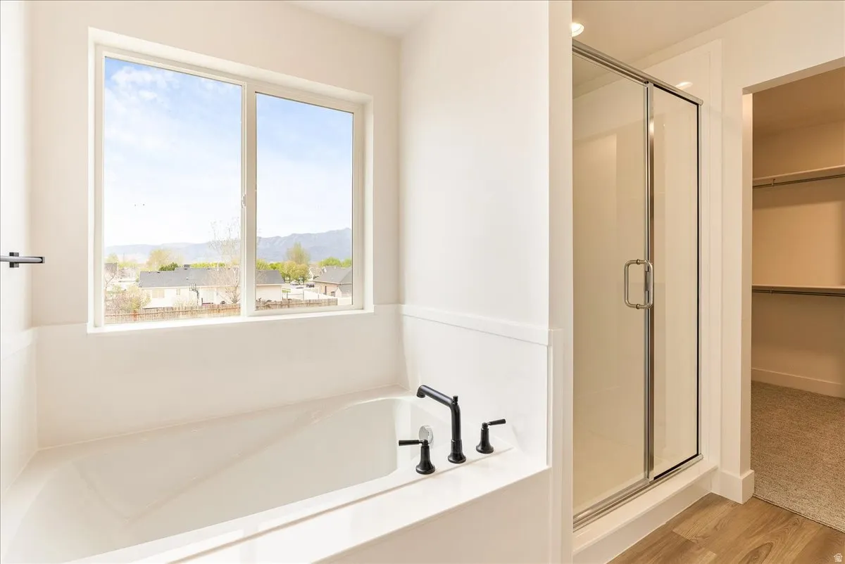 Bathroom featuring a mountain view, a shower stall, a bath, a walk in closet, and light wood-style floors