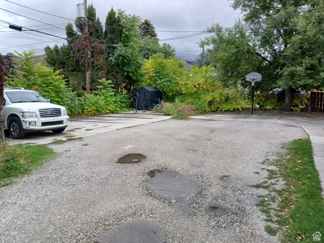 View of road with view of scattered trees