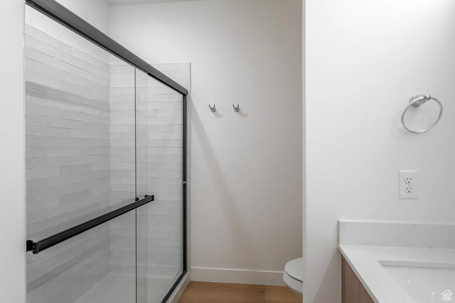 Full bathroom with vanity, light wood-type flooring, and a shower stall