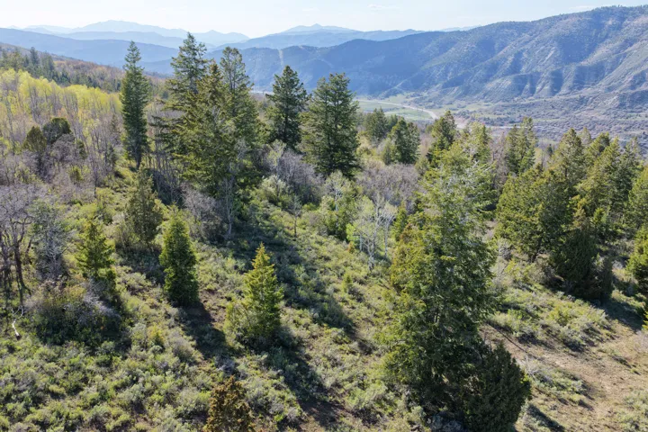 Expansive hillside property featuring mature evergreen and deciduous trees, natural shrubbery, and distant mountainous terrain