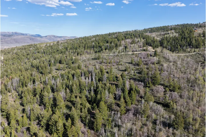 Expansive hillside acreage featuring varied tree coverage and distant mountainous terrain