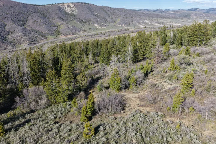 Expansive natural landscape featuring rolling hills and abundant evergreen trees