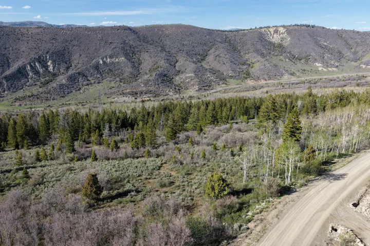 Expansive natural landscape featuring a prominent mountain backdrop and diverse vegetation