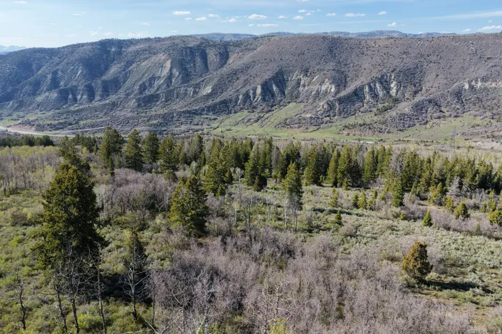 Sprawling natural landscape featuring varied terrain, mature evergreen trees, and distant mountains