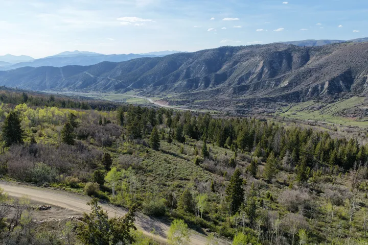 Expansive mountain terrain featuring diverse tree cover, a distant valley, and a dirt road in the foreground