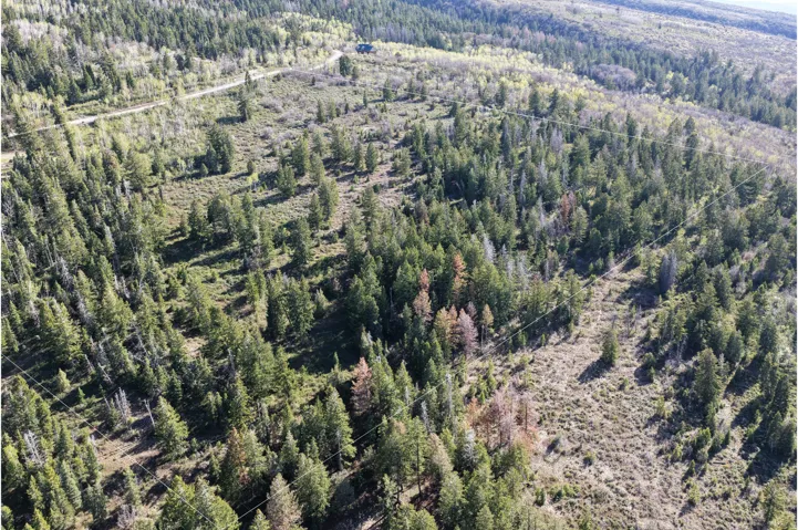 Expansive mountain terrain featuring diverse tree cover, natural vegetation, and a single-family residence