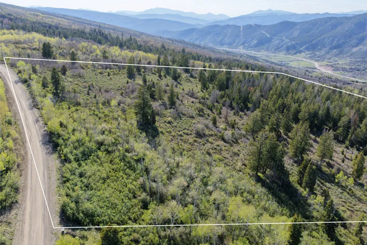 Expansive undeveloped land featuring a mix of mature evergreen and deciduous trees, varied topography, and a visible dirt road running along the property boundary