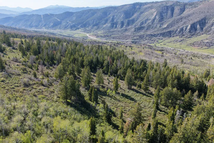 Expansive wooded property featuring mature trees and varied foliage, with distant mountains and a valley visible