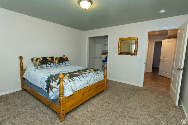Carpeted bedroom with baseboards and a walk in closet