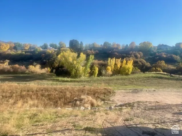 View of homesite and future city walking trail along Kays Creek.