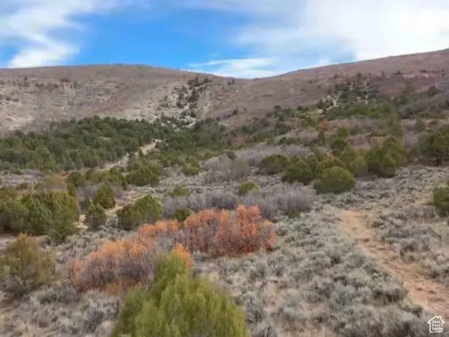 View of mountain background