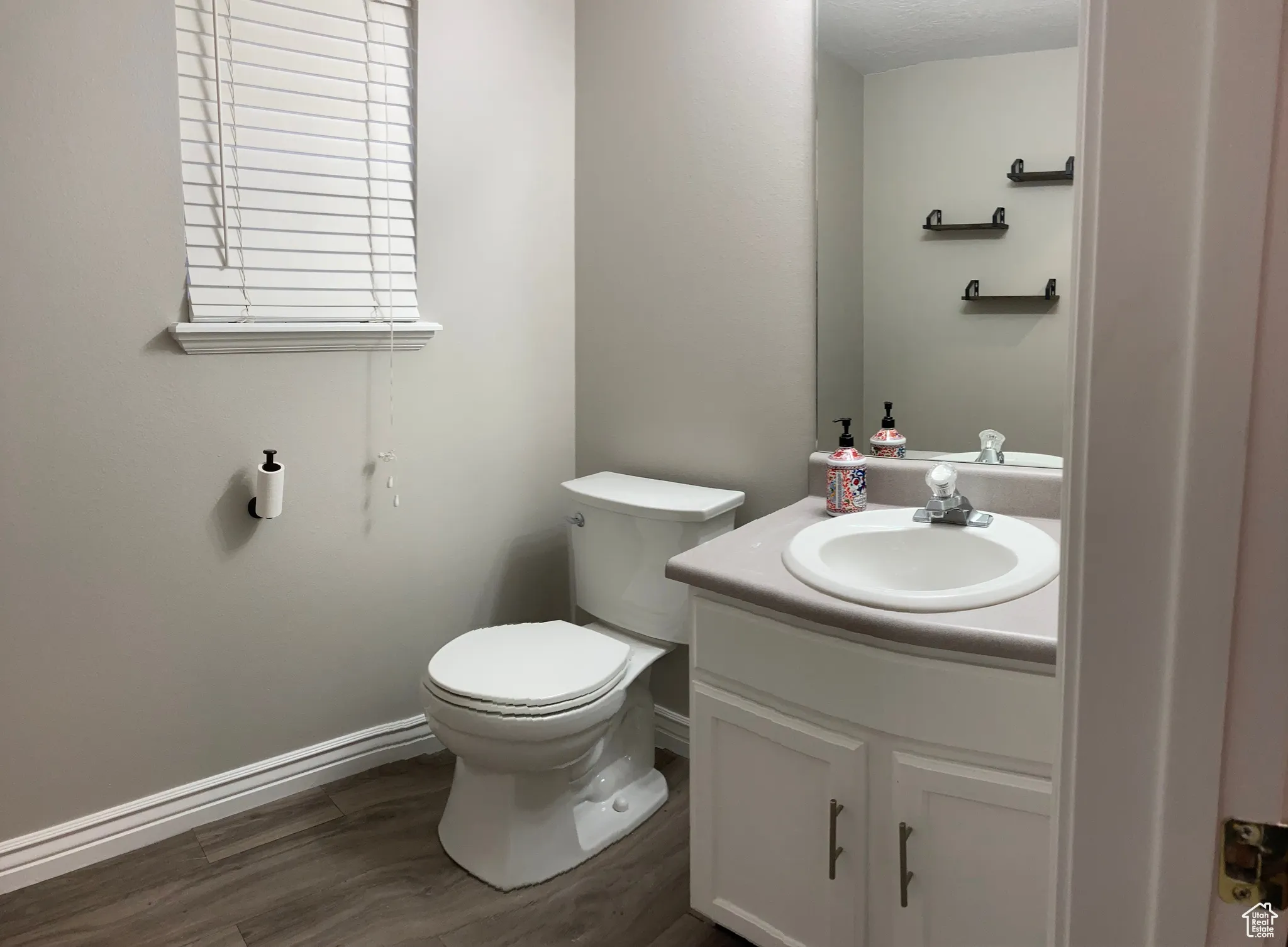Bathroom featuring dark wood-type flooring and vanity