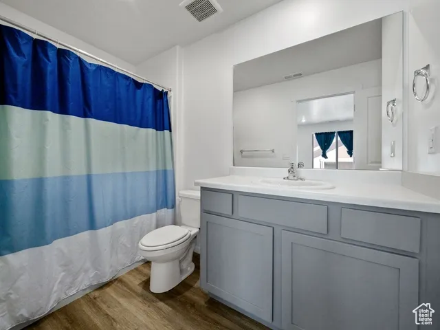 Bathroom with dark wood finished floors and vanity