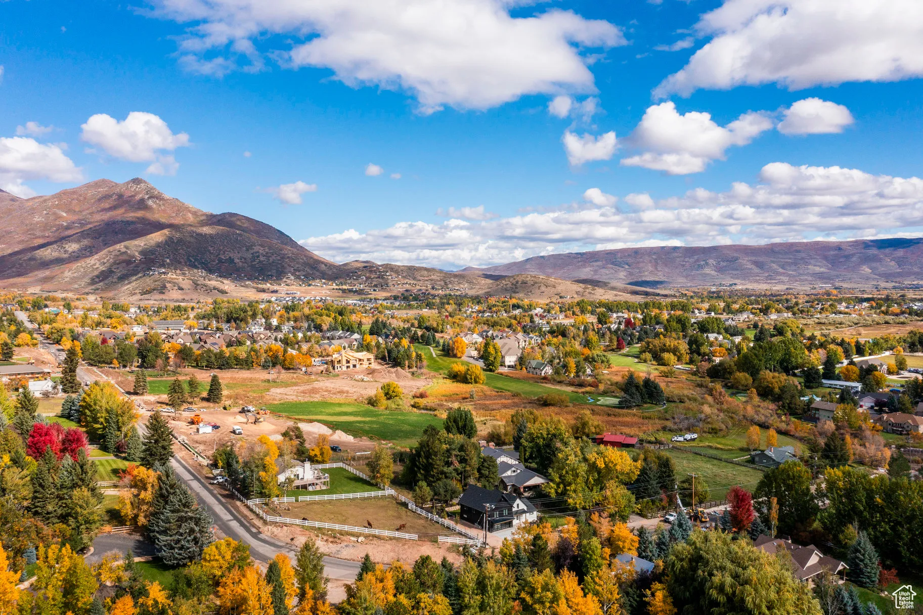 View of mountain backdrop featuring a tree filled landscape