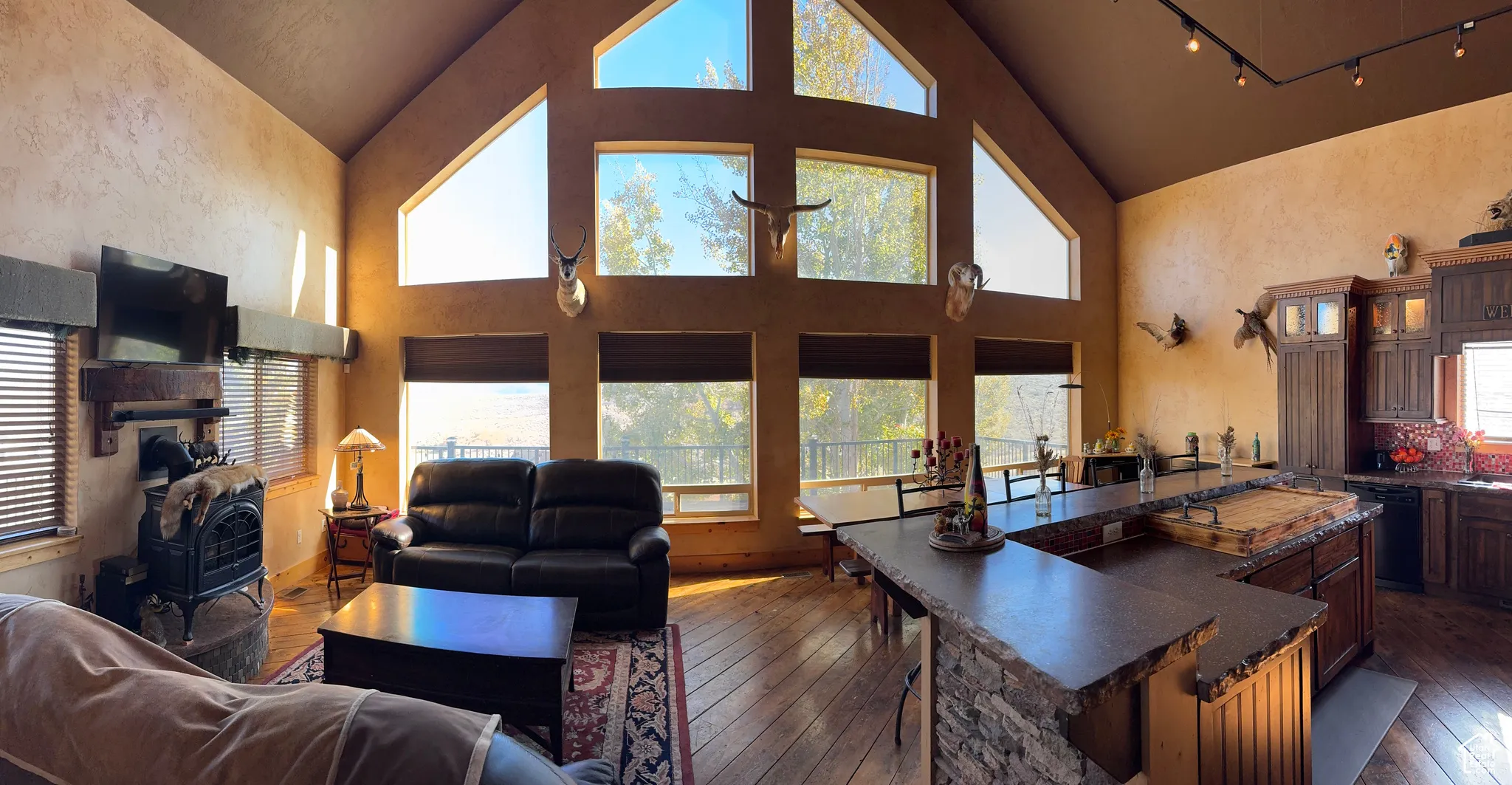 Living area with dark wood-style flooring, high vaulted ceiling, healthy amount of natural light, and rail lighting