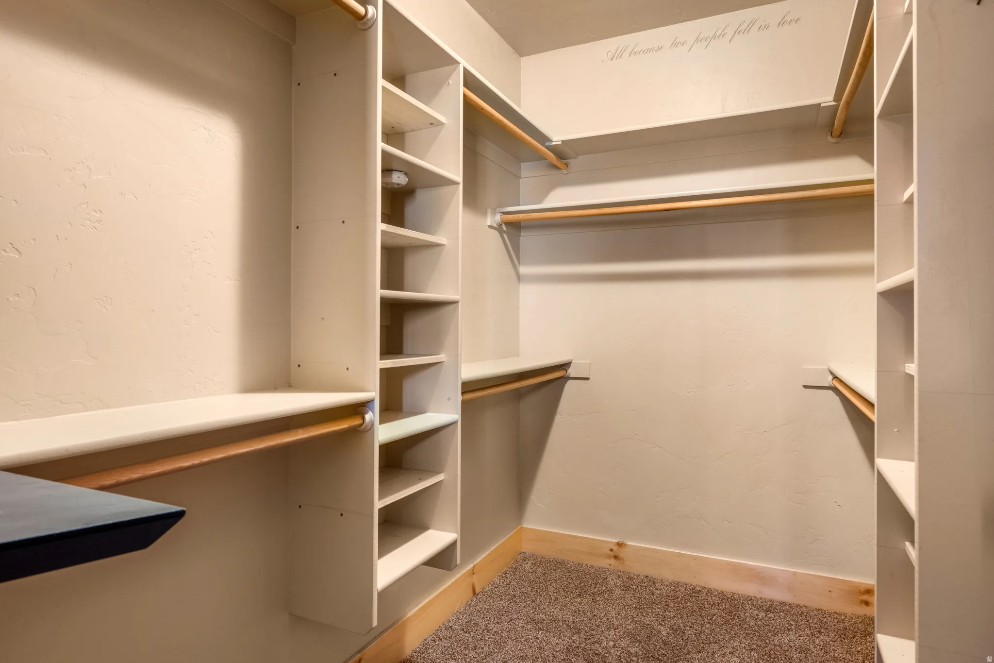 Walk in closet with light carpet