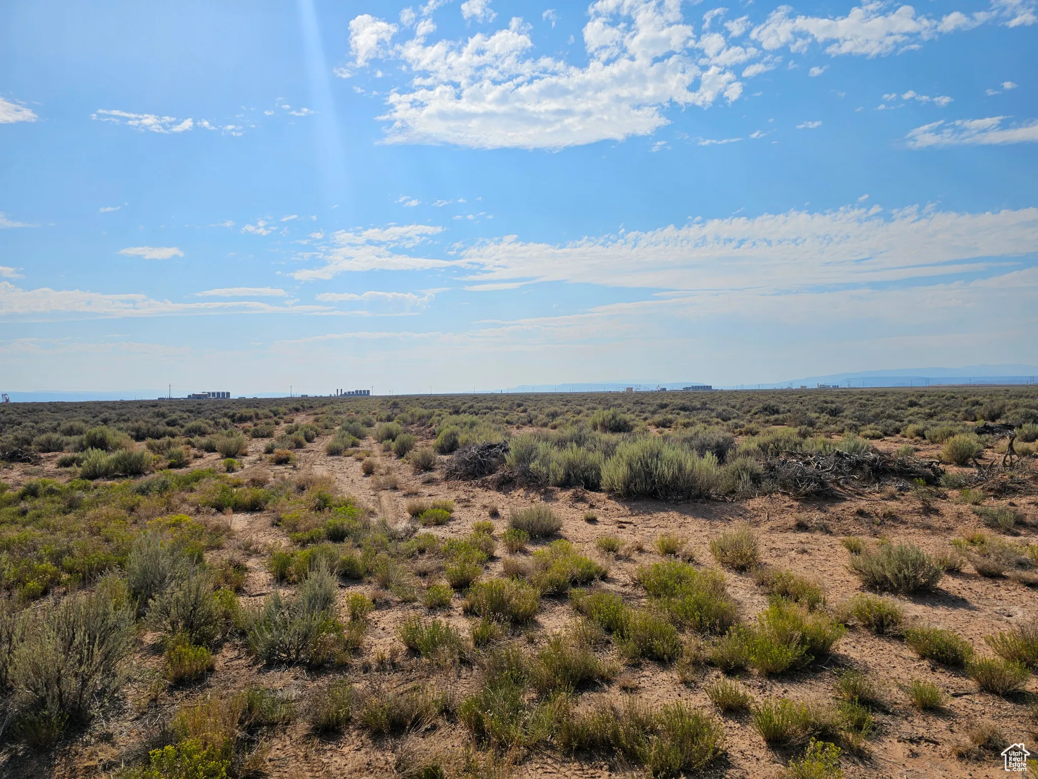 View of local wilderness