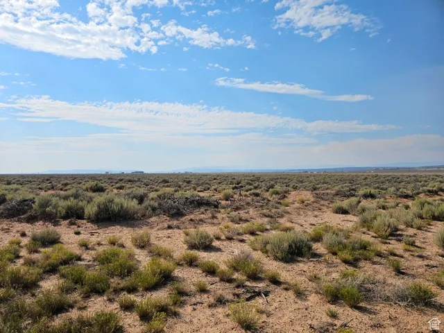 View of nature with a desert landscape