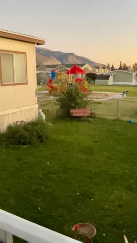 Back yard