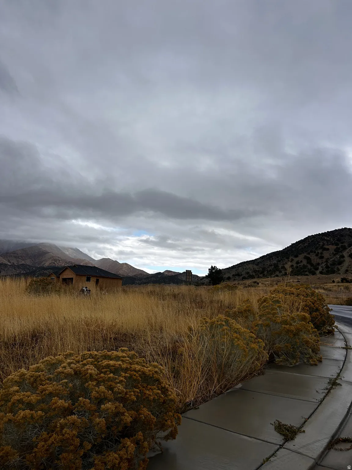 Mountain view