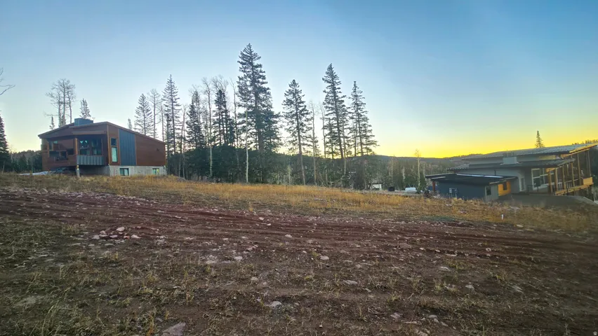 View of yard at dusk