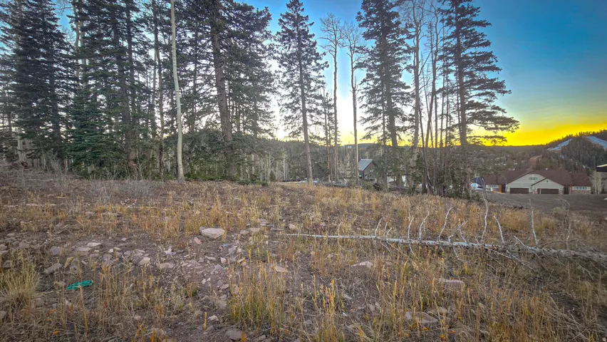View of undeveloped land