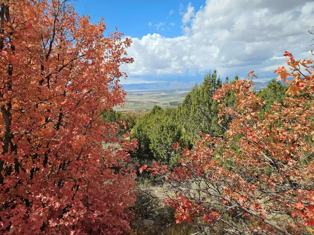 Mountain view