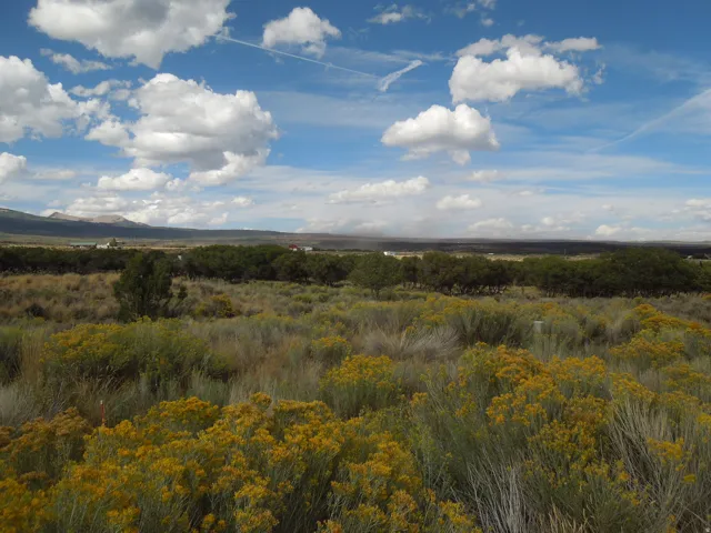 View of local wilderness with mountains