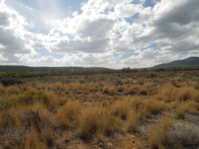 View of mountain background with rural landscape