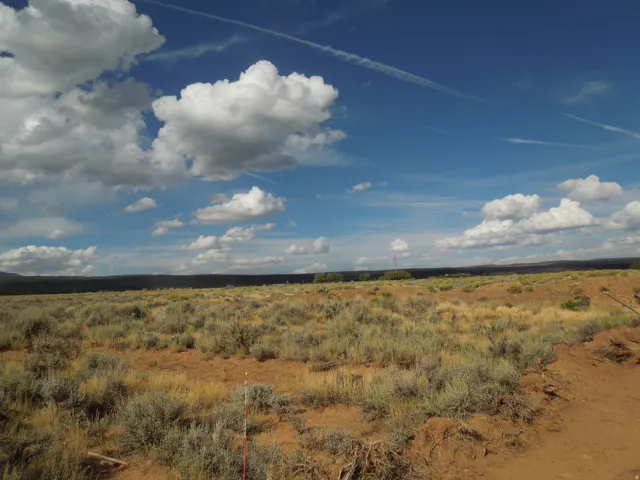 View of local wilderness