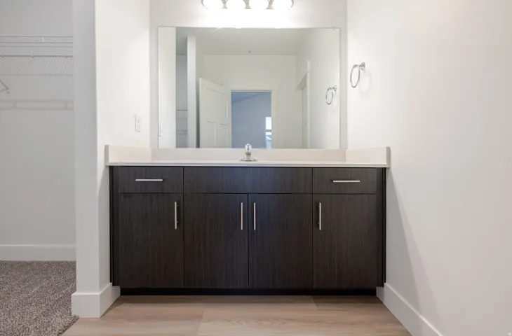 Bathroom featuring vanity, a spacious closet, and light wood finished floors