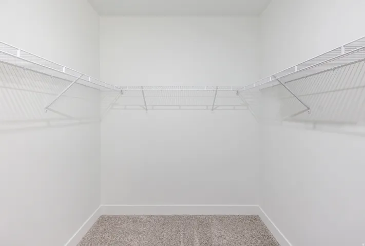 Walk in closet with light colored carpet