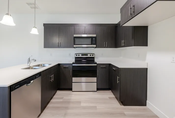 Kitchen featuring a peninsula, stainless steel appliances, dark wood finish cabinets, light wood finished floors, and pendant lighting