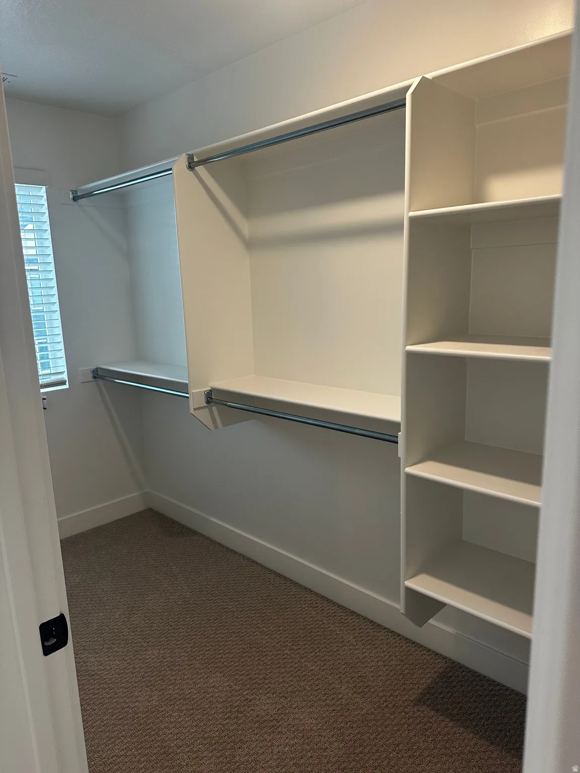 Walk in closet featuring dark carpet