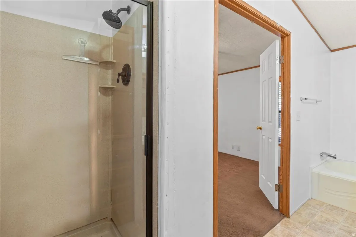 Full bath featuring a stall shower, carpet flooring, and a textured ceiling