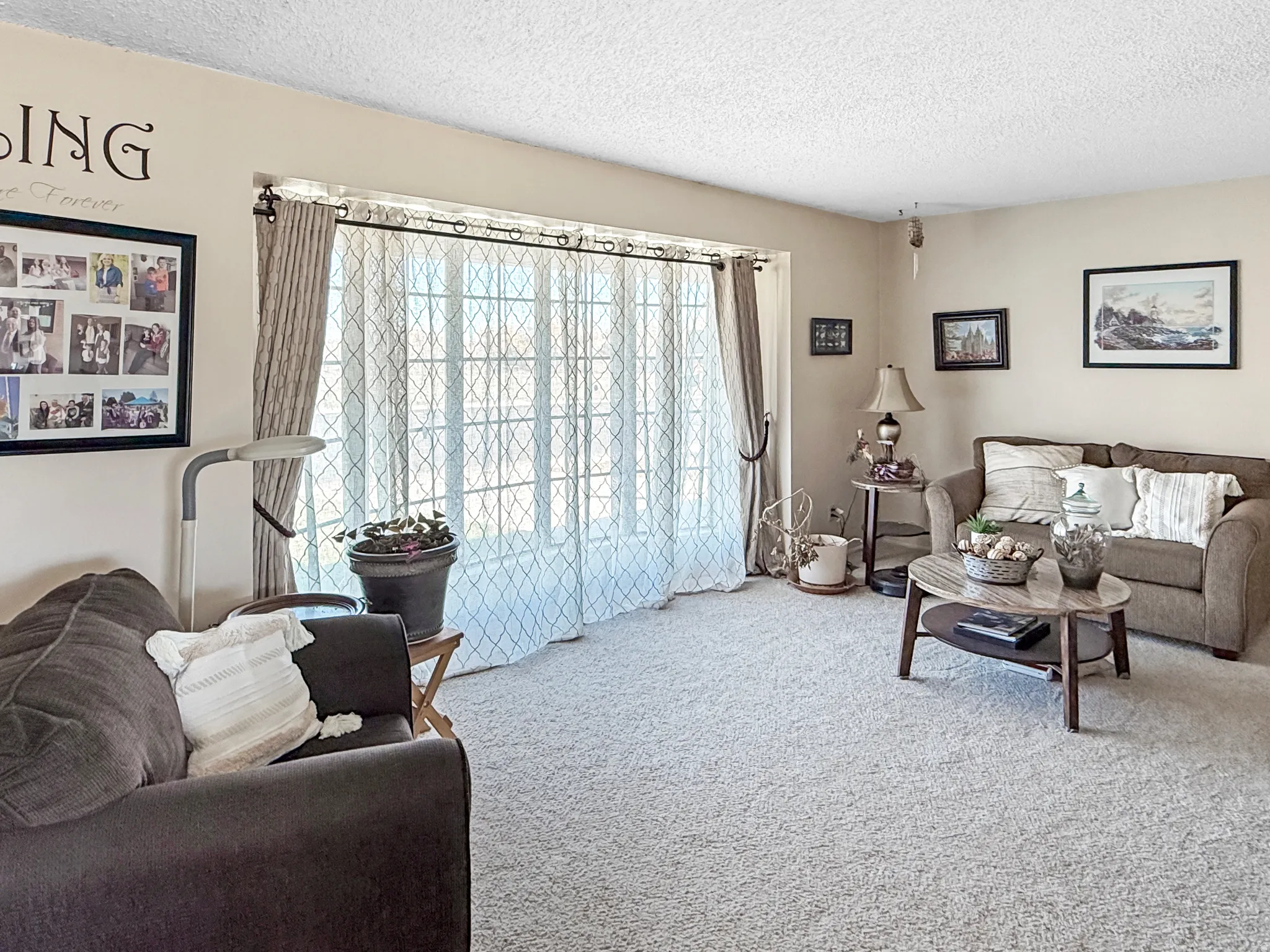 Carpeted living room featuring a textured ceiling
