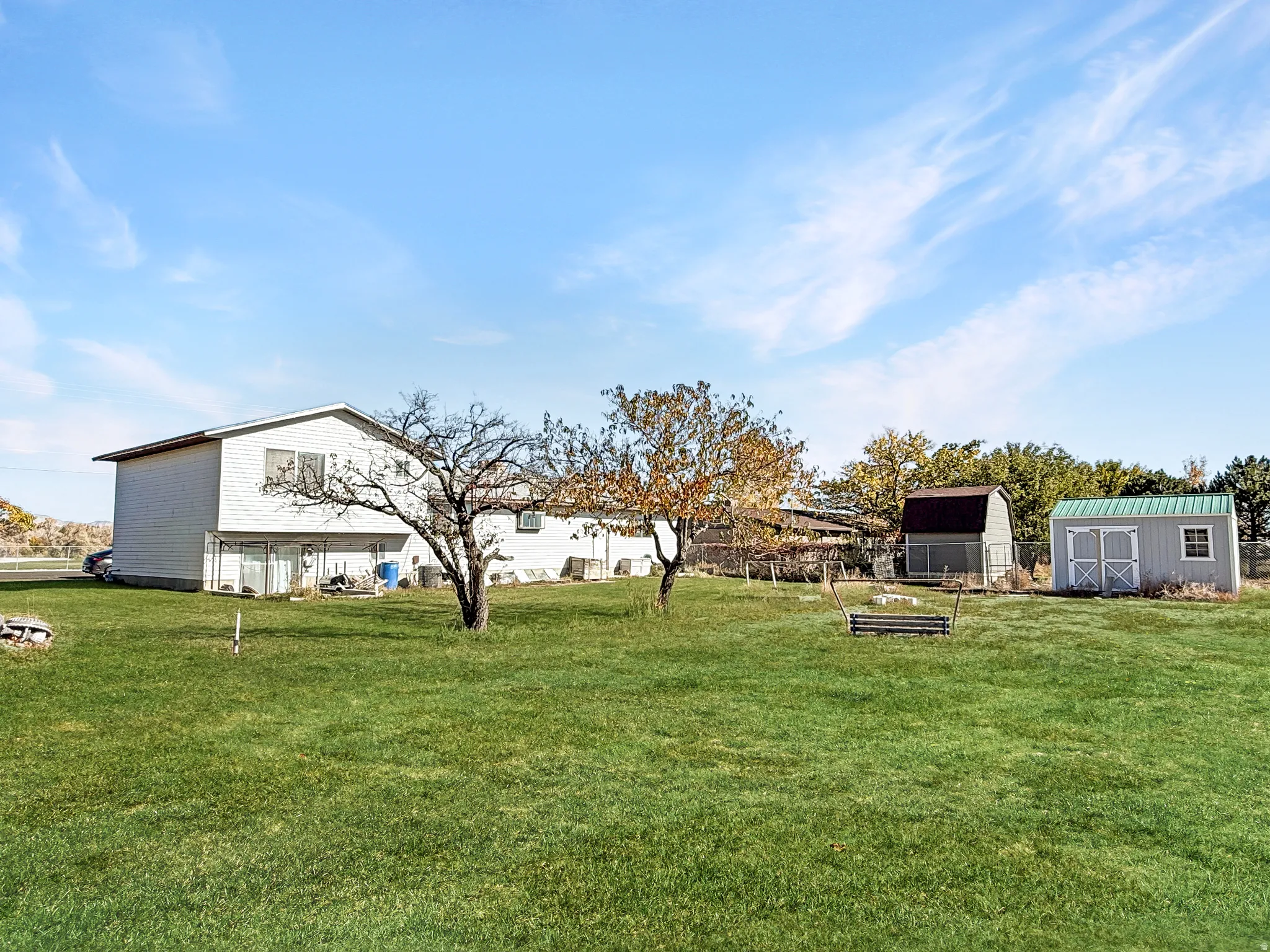 View of grassy yard with a storage unit