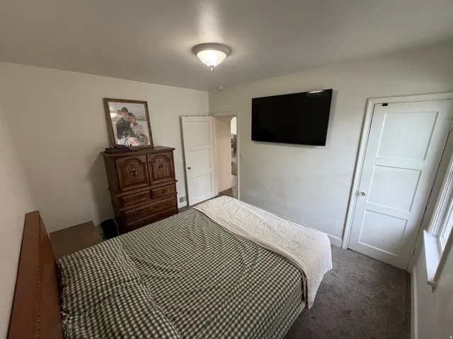 Bedroom featuring carpet flooring and plenty of natural light.