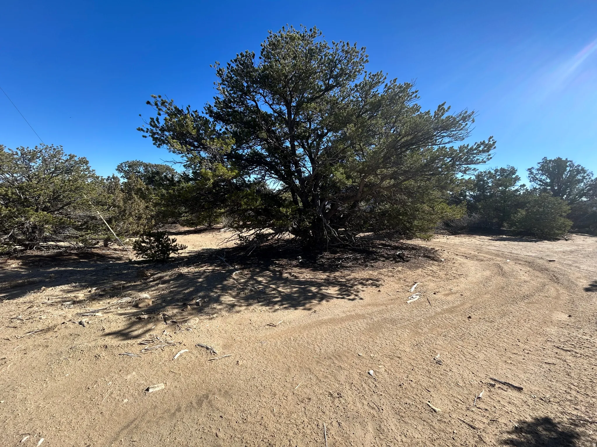 View of nature