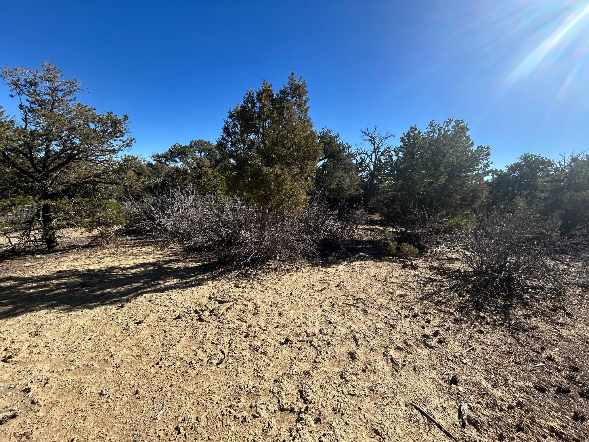 View of undeveloped land