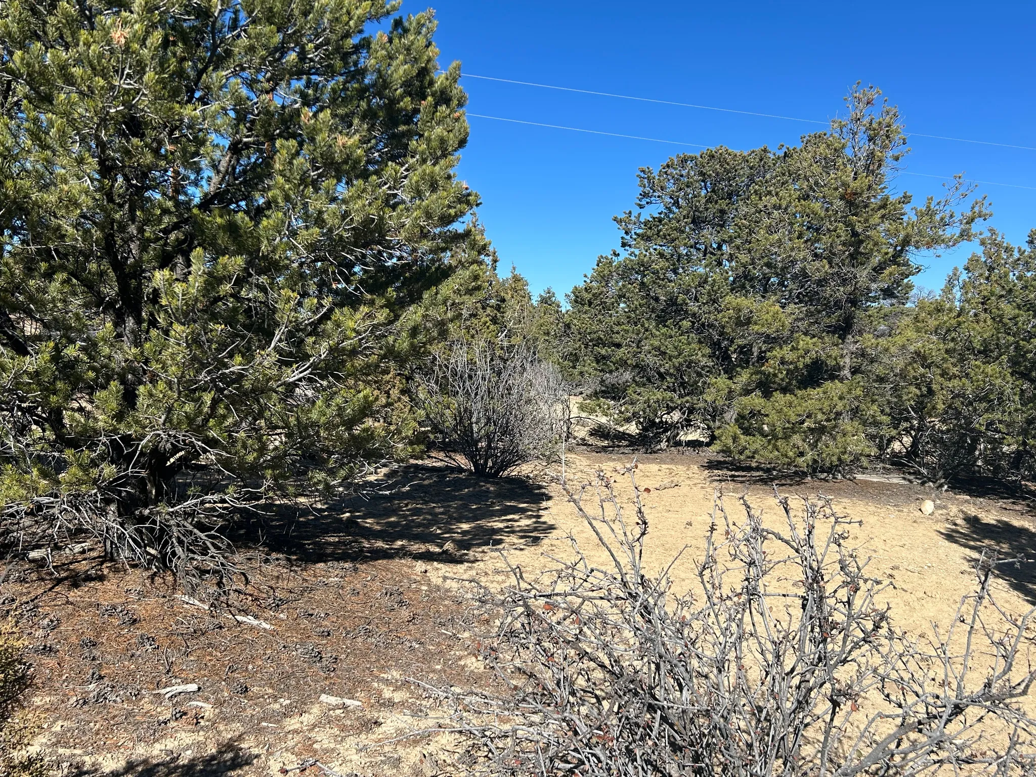 View of nature