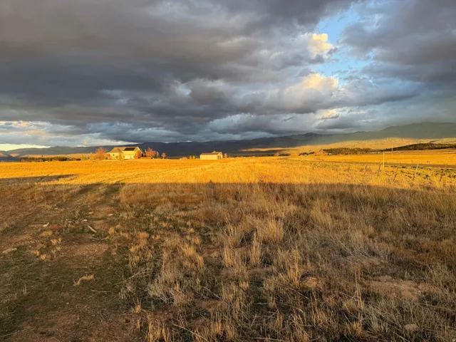 View of yard with a view of rural / pastoral area and a mountain view