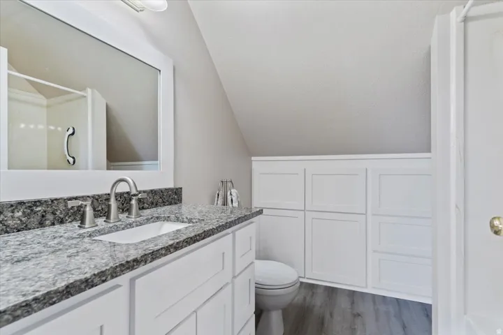 Bathroom with vanity, lofted ceiling, a shower, and dark wood-type flooring