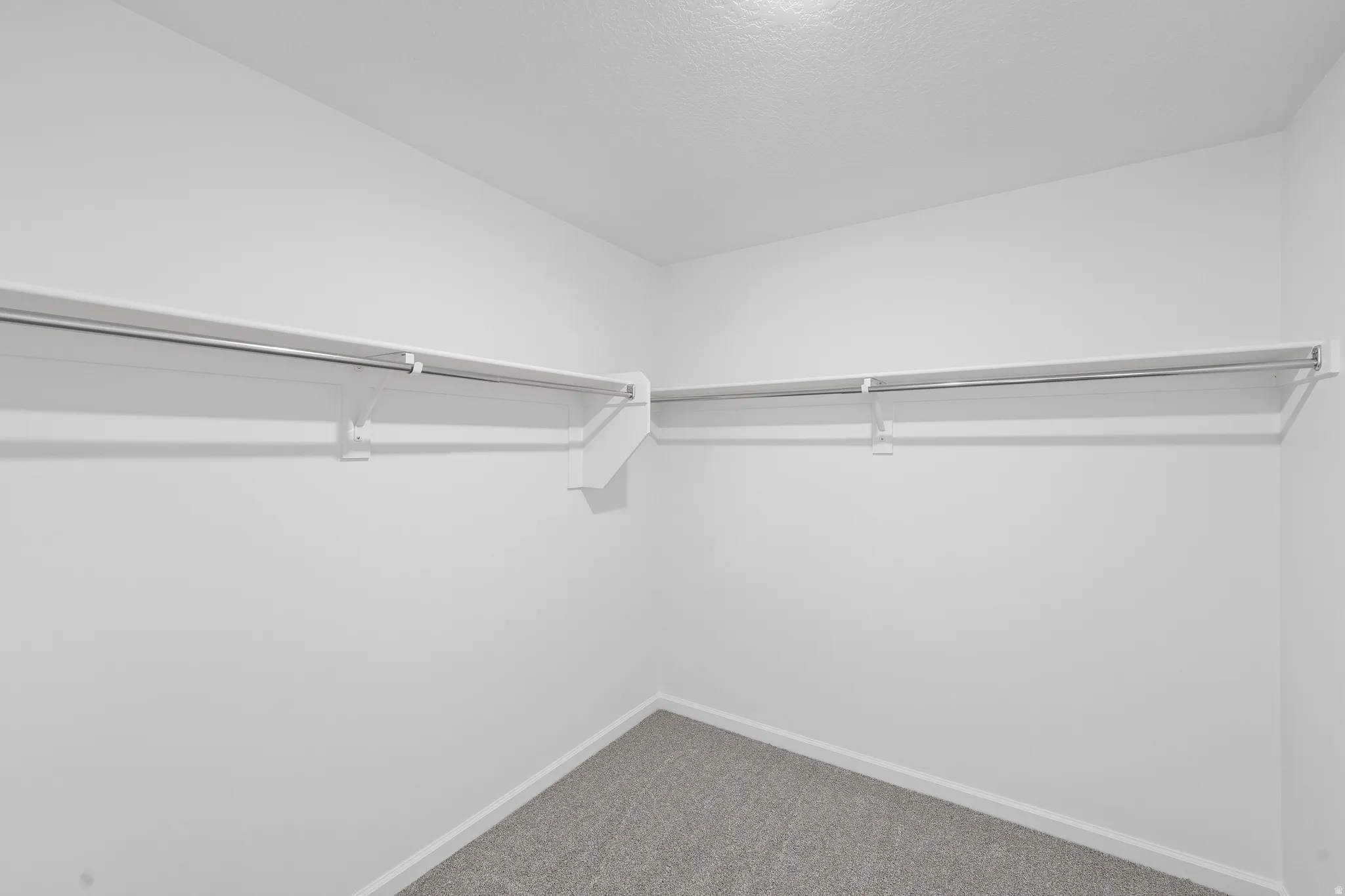 Walk in closet featuring carpet floors