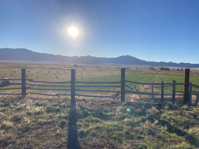 From the back fence, looking west.