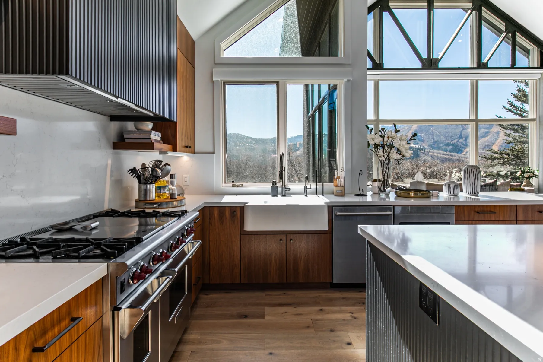 Kitchen featuring stainless steel appliances, custom range hood, dark wood-type flooring, a mountain view, and modern cabinets