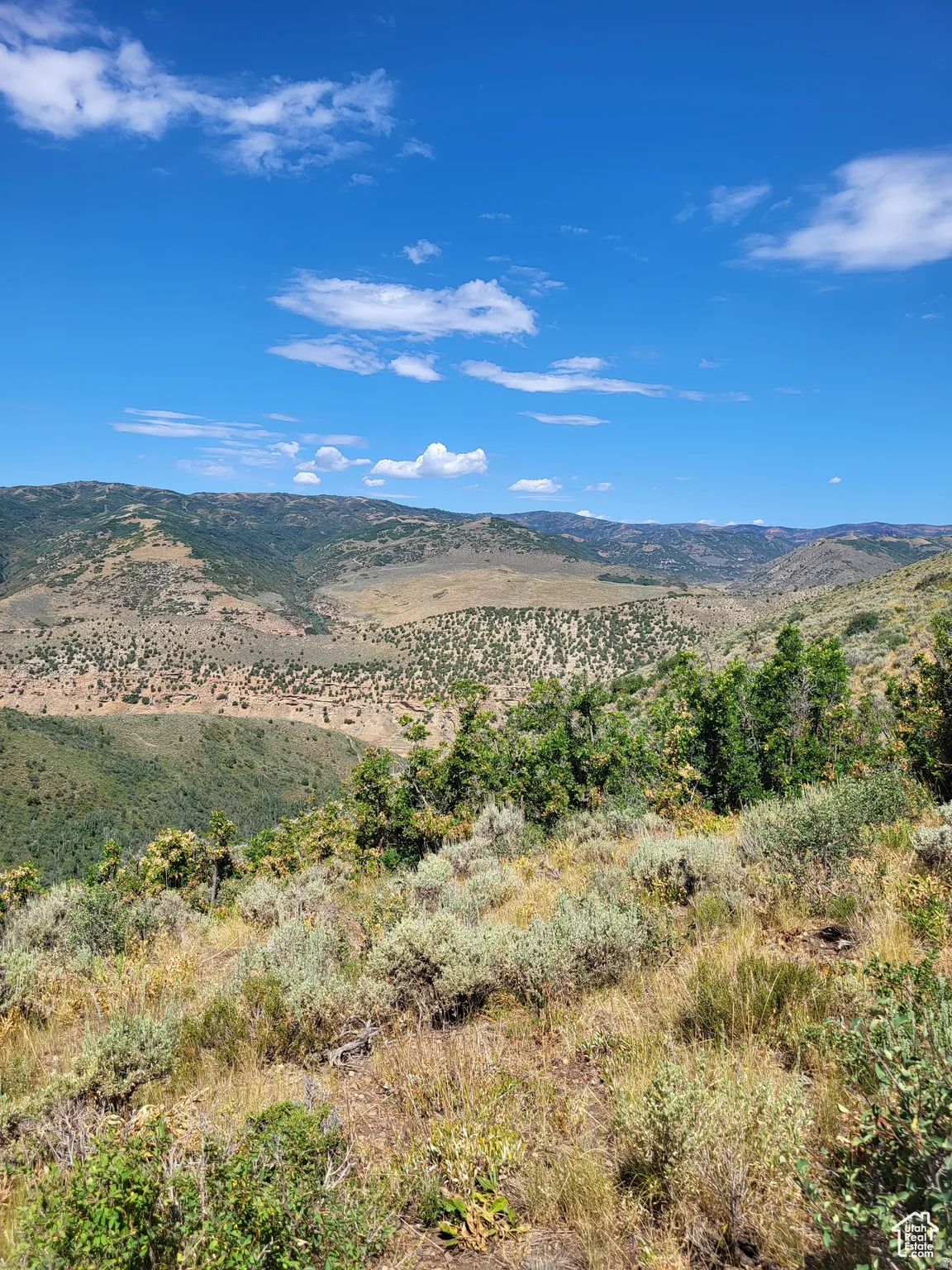 View of mountain backdrop